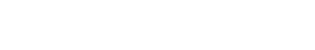 storvault-logo